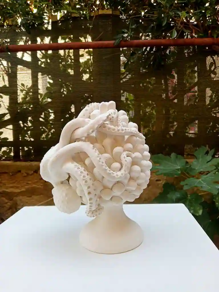 Opera artistica: Pigna Polpo