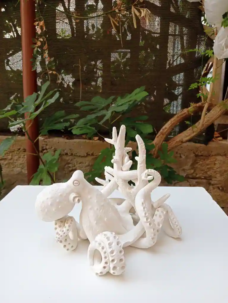 Opera artistica: Polpo Corallo