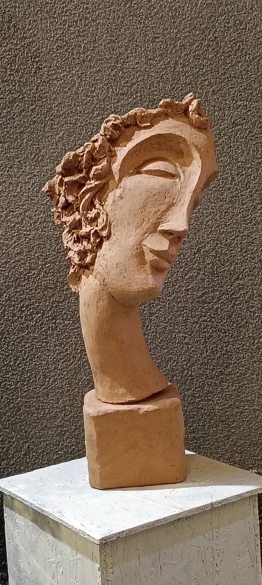 Testa moderna 6